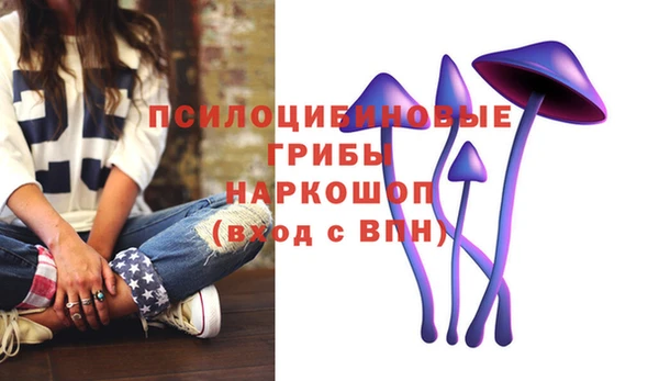 молекула духа Балахна