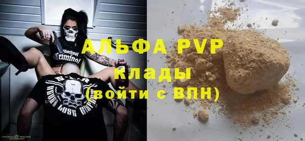 PSILOCYBIN Балабаново