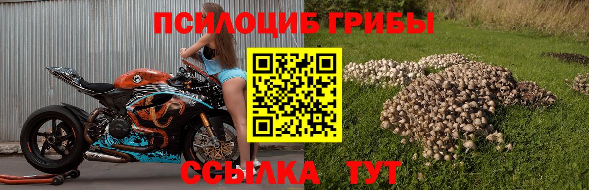 Усть-Илимск  Галлюциногенные грибы Magic Shrooms  Вход с VPN 